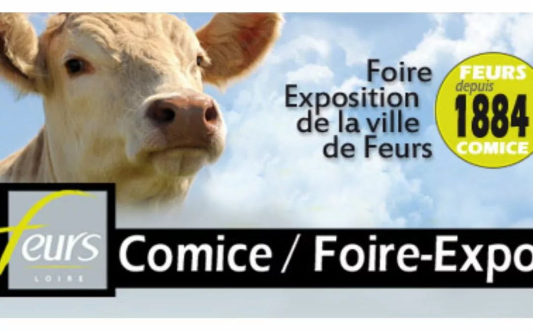 Foire de Feurs